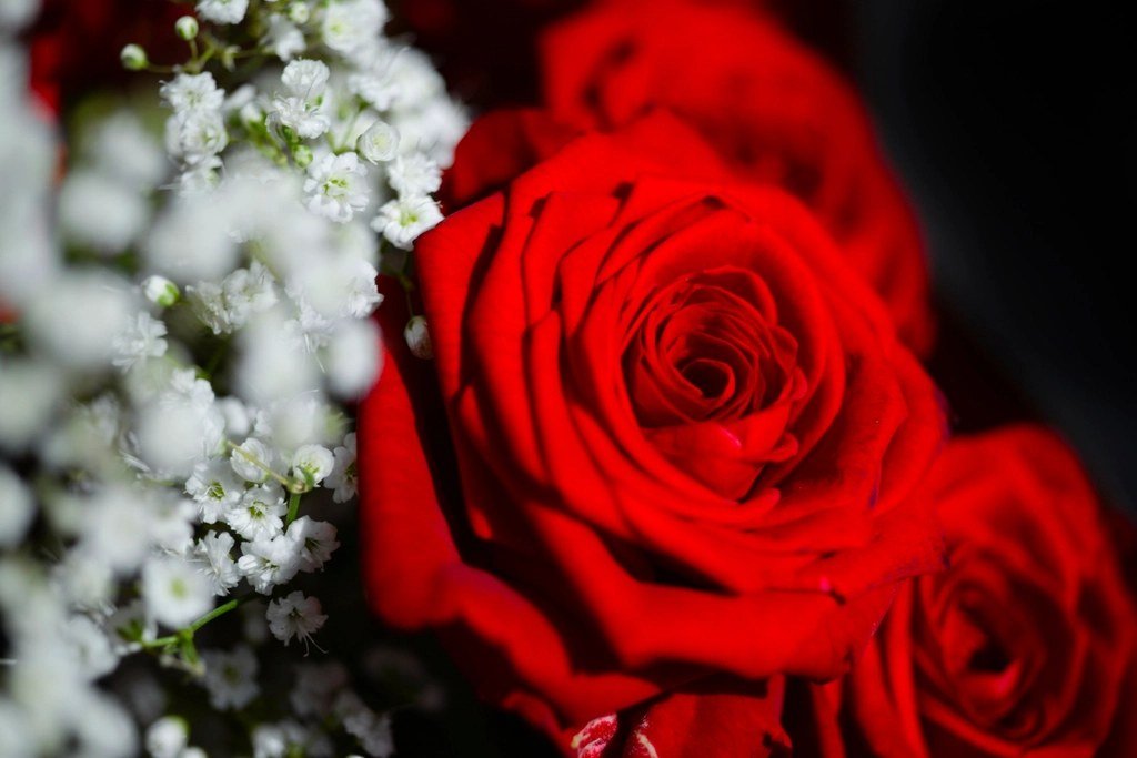 Love Languages and Your Zodiac Sign
